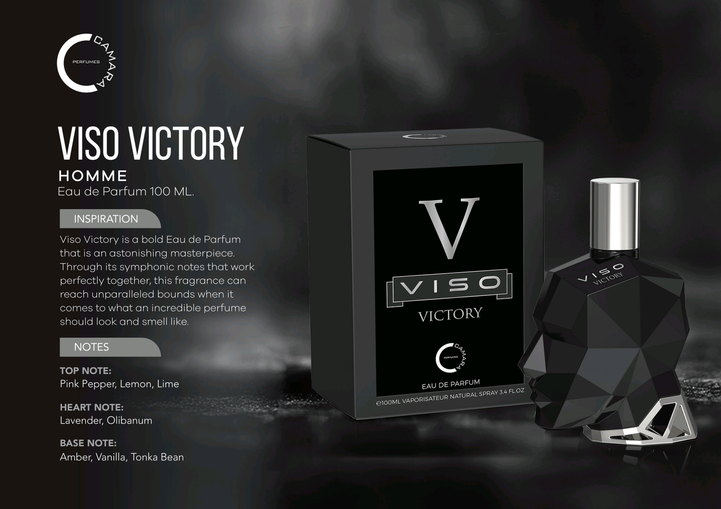 Viso Victory (for mens)100ML EDP by Camara